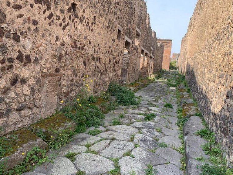 Pompeii & Vesuvius - Pick-up from your accommodation or nearest meeting point by your driver and guide. Drive along the...