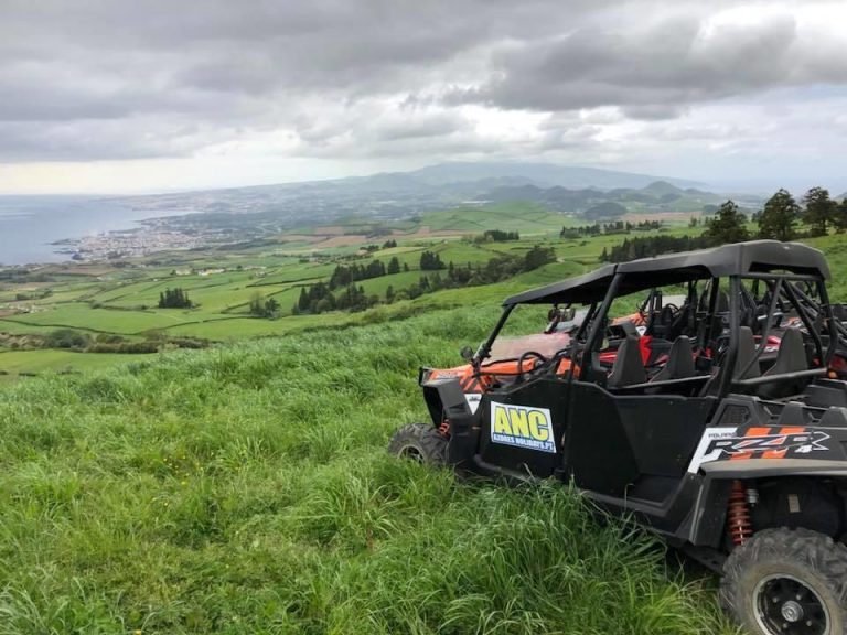 Buggy – Off-road Excursion - Coast to Coast - Half Day - On this Coast to Coast tour you will pass by farms with many happy...