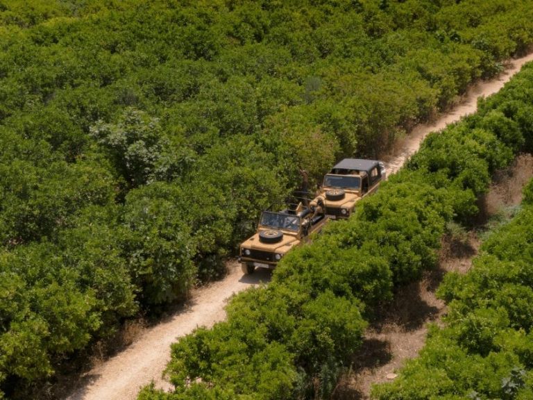 Full Day Private Safari - These private tours depart towards the interior of the Algarve to visit the most beautiful hidden...