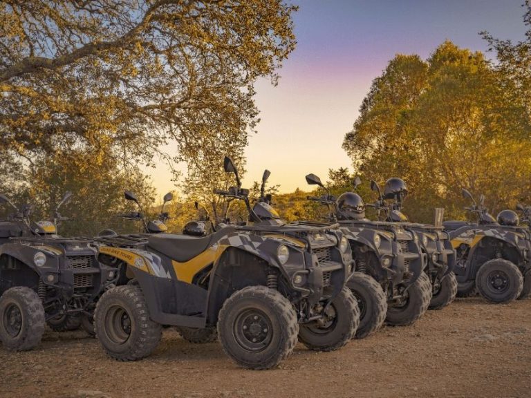 Full Day Quad Tour - After giving you all the important safety instructions, we'll go off-road covering a variety of...