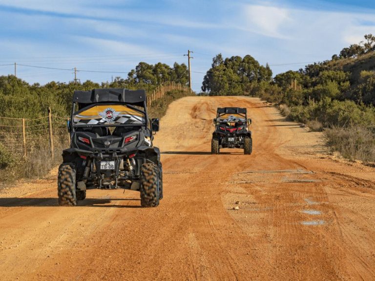 Half Day Buggy Tour - From asphalt and gravel roads to mountain trails and rocky paths, you will have the thrill of driving...