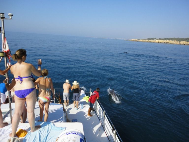 Dolphin Safari & Caves tour - Two hour program to observe our dolphin friends that stroll along the Algarvian coast and visit the spectacular caves.