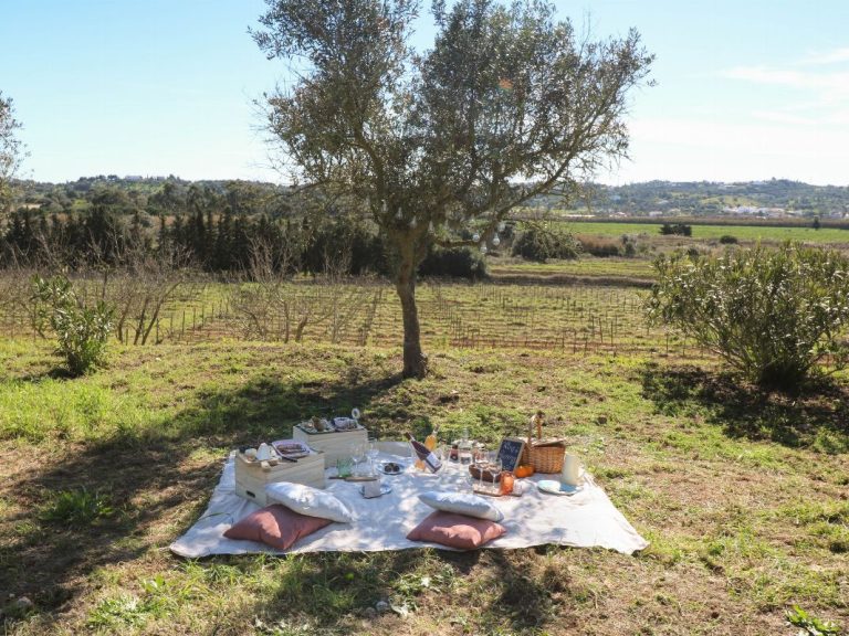 Private Picnic in the Vineyard - From the Algarve mountains the meat, cheese and sausages from animals that graze in the fields.