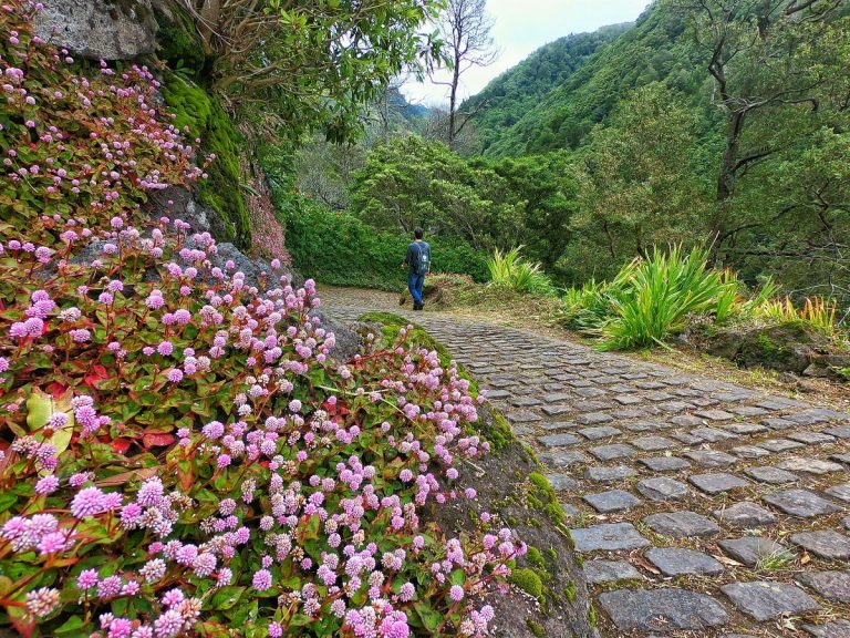 begins in the parish of Faial da Terra, we will walk along a beautiful...