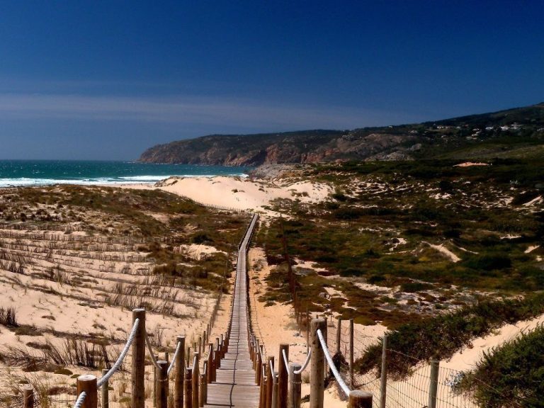 Sintra, Cabo da Roca and Cascais Tour - After the morning pick-up at your accommodation, enjoy the scenery in an air...
