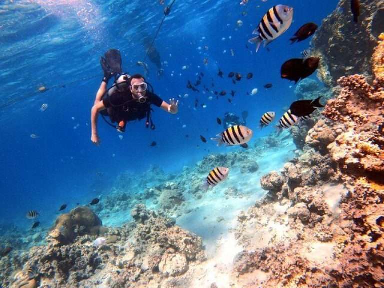 Half-day boat dive experience in Red sea of Aqaba. - Aqaba leaders dive center offers you the opportunity to dive in the...