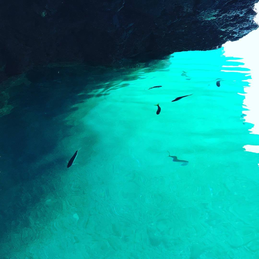 Berlenga Caves Pack - ToursXplorer.com