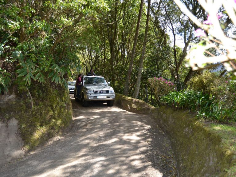 Full-Day Jeep Tour and Kayak - Sete Cidades - POI / Main Stops: Sete Cidades village, Pico do Carvão viewpoint, Santiago lake...