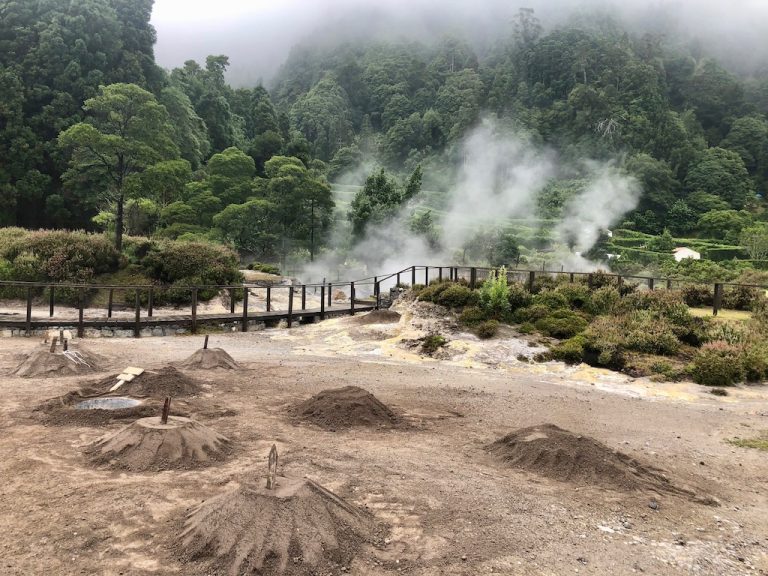 Half-Day Jeep Tour to Furnas - Explore steaming geysers and burbling mud pools set beside sparkling lakes in volcanic...