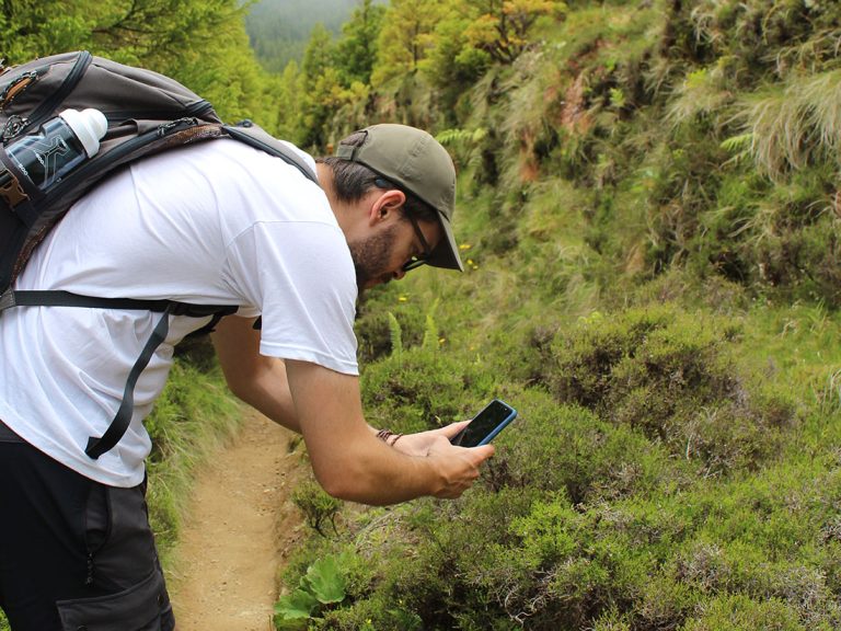 Full-Day Sete Cidades Jeep Tour and Serra Devassa Walking Trail - After exploring several lakes around the area with an...