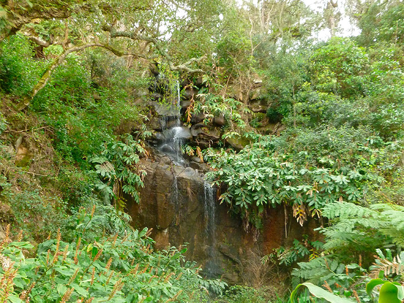 Monserrat Palace Waterfall