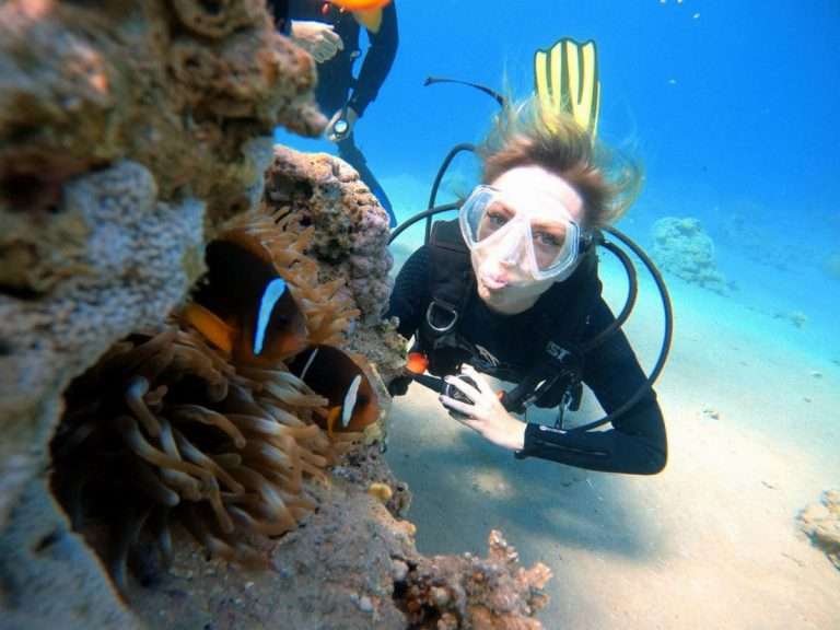 Private Scuba Dives in the Hidden Miracles of Red Sea - Discover the hidden miracles of the Red Sea with our Private Scuba...