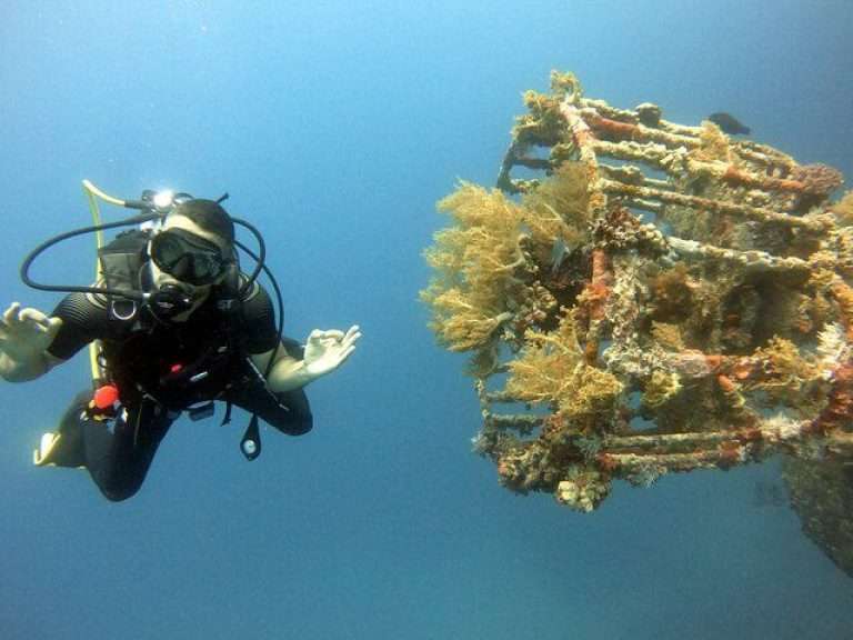 Private Diving Experience in The Heart of Red Sea in Aqaba - Enchant your tour to Jordan , Explore the hidden wrecks of red...