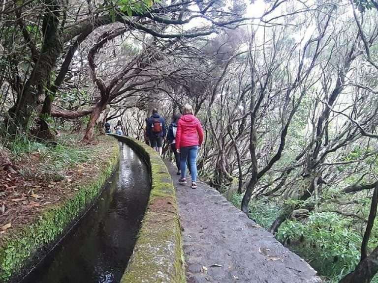 Transfer Self-Guided Hike 25 Fontes & Risco Levada - The 25 Fontes Levada is one of the most popular in Madeira Island. It's name lives up to the number of fountains or little waterfalls that’s possible to count once you arrive there.