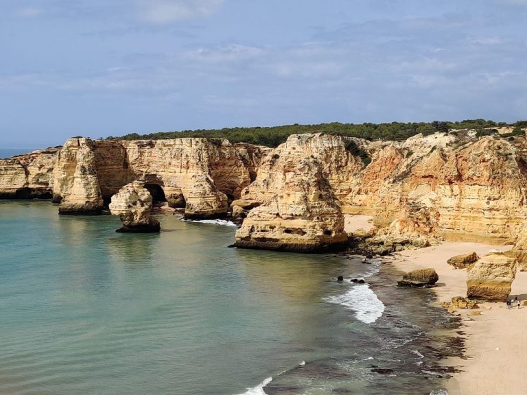 Private Boat Trip: Caves and Dolphins - For 2h00 explore 18km of the Algarve Coast, where you will discover beaches, rock...