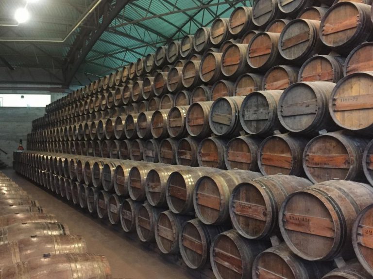 Arrábida Wine Private Tour - You’ll never see Portugal the same way again after this full-day small-group tour to Arrábida from Lisbon.