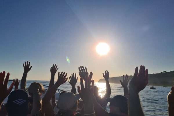The right online place to find your tour experience