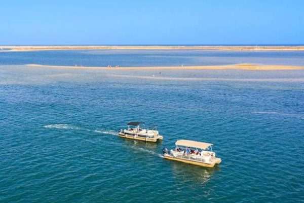 Boat Tour to Deserta and Farol