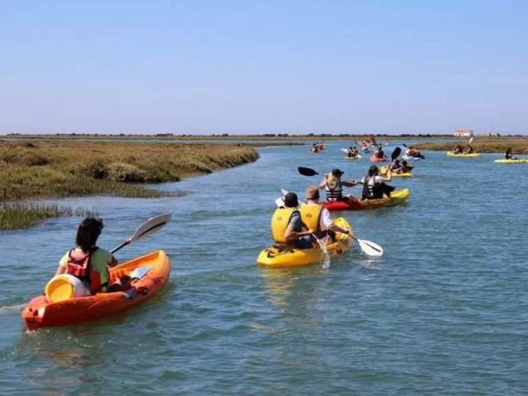 Kayak Tour in the Ria Formosa: Immerse yourself in the enchanting waters of Ria Formosa, a Natural Park renowned for its breathtaking scenery and diverse ecosystem.