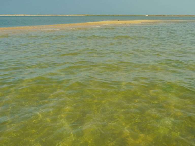 Sunset Boat Tour in Faro: Have you ever been mesmerized by the breathtaking hues of a Ria Formosa sunset? As seasoned explorers of this remarkable lagoon, we can attest that the sunsets here are truly extraordinary. Prepare to embark on a captivating boat trip that will etch this natural spectacle into your memory forever.