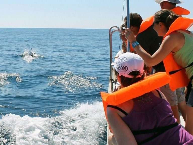 Dolphin Watching in Olhão - Observe the behavior of dolphins in their natural habitat on this 2.5-hour boat tour starting...