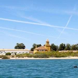 Octopus Route - Tavira - 4Hours Boat Trip - On this tour you will discover all of Ria Formosa area in Tavira, visit...