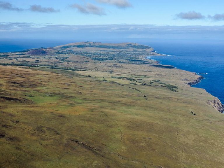 Island's highest volcano: Half Day Private Trekking: Climb to the summit of Terevaka, the highest volcano on Easter Island, and immerse yourself in a truly unique experience.
