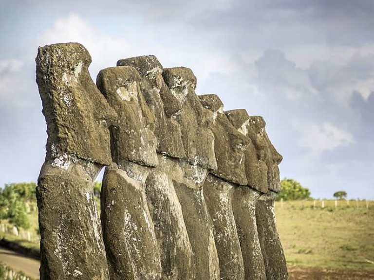 The essential of Rapa Nui: Full Day Private Tour: Experience the best of Easter Island's archaeological sites on this unforgettable tour. By combining the "Discover the Mystery of the Moai" and "In Search of the Birdman Cult" tours, this option is perfect for those who wish to see the island's highlights in one day.