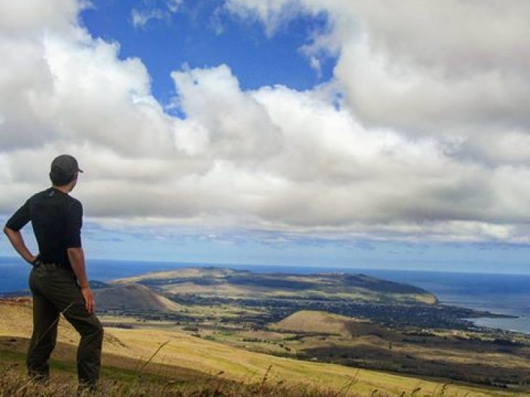 Island's highest volcano: Half Day Private Trekking: Climb to the summit of Terevaka, the highest volcano on Easter Island, and immerse yourself in a truly unique experience.