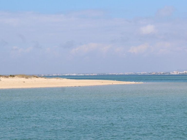 Speed Boat Tour - Ria Formosa Faro: Speed up through the Inspiring Natural Canals of the Ria Formosa Natural Park on this Speed Boat tour from Faro.