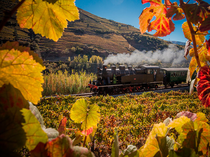 Nestled in the northernmost parts of Portugal, the Douro Valley is a testament to nature's grandeur and the indomitable human spirit. Its scenic landscapes, forged over millennia, are a harmonious blend of nature's raw beauty and human craftsmanship.
