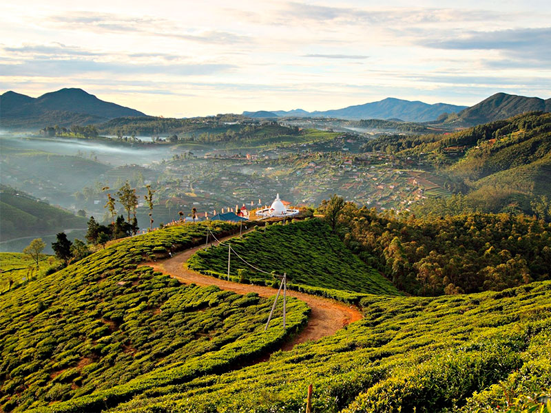 The Central Highlands of Sri Lanka are a biodiversity hotspot, boasting unique ecosystems and endemic species. This UNESCO World Heritage Site encompasses cloud forests, grasslands, and wetlands, providing a sanctuary for a diverse range of flora and fauna. A paradise for nature enthusiasts, it's an ecological treasure worth exploring.