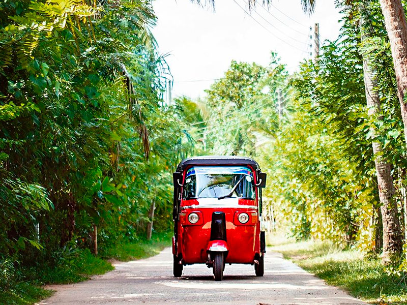 Sri Lanka Travel Guide: Arguably the most iconic mode of transport in Sri Lanka, tuk-tuks are three-wheeled motorized rickshaws that are ideal for short distances. While they may not be the most comfortable, the experience is one-of-a-kind.