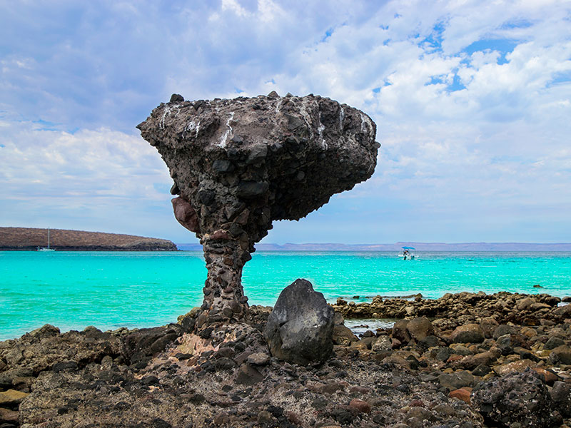 Baja California Sur Travel Guide: With its shallow, crystal-clear waters and unique mushroom-shaped rock formation, Balandra Beach is a safe and enchanting destination for families.
