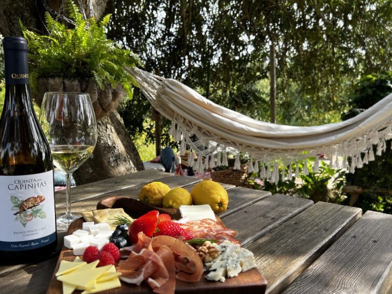 Vineyard Picnic Experience in Quinta dos Capinhas