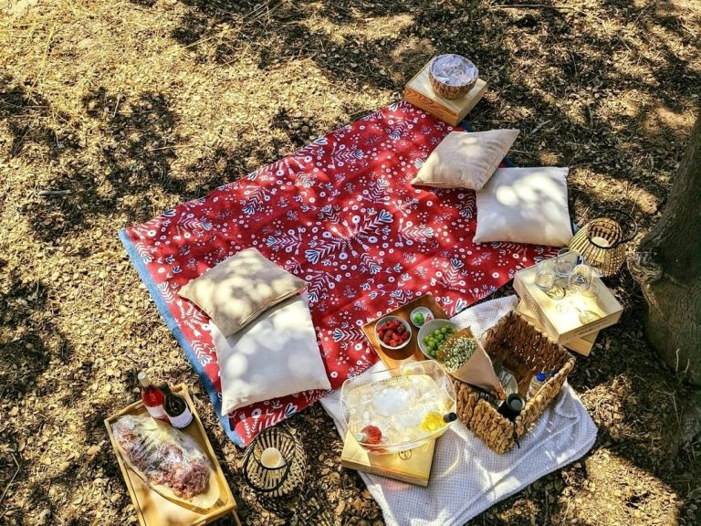 Escape to Romance with Our Vineyard Picnic Experience in the Algarve 