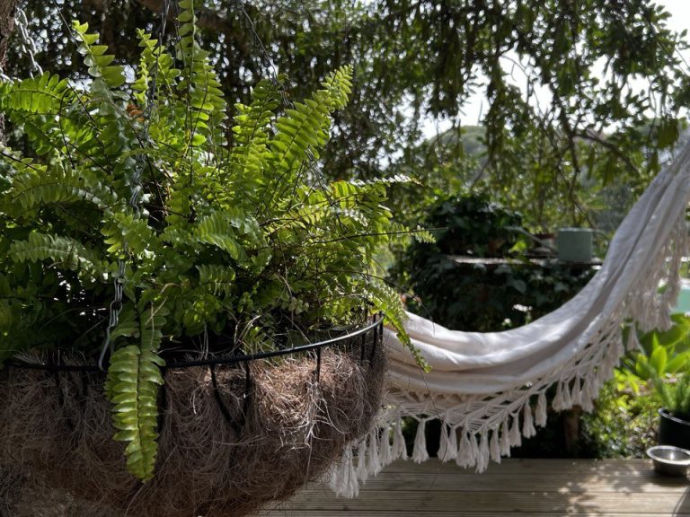 Vineyard Picnic Experience in Quinta dos Capinhas