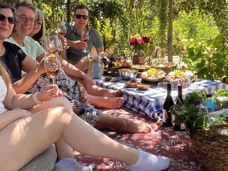 Vineyard pic nic in Quinta dos Capinhas